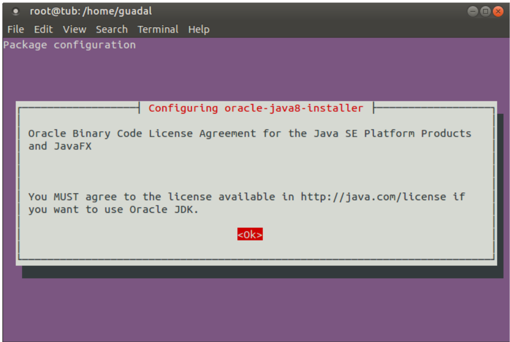 Java 8.1. Java installer. Java установщик. Программирование в java на Linux. Package configuration Ubuntu.