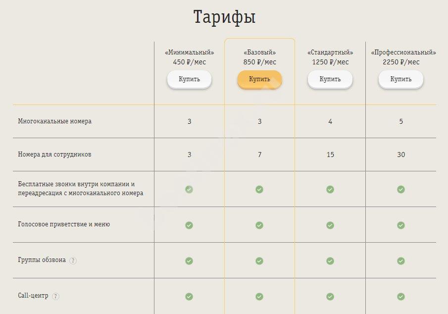 Минимальный тариф с интернетом. Виртуальный тариф Билайн. Дизайн тарифов с галочками. Тариф облачный Билайн. Тарифы на связь АТС Билайн.